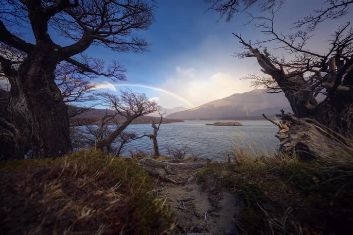 Time-lapse captures a vibrant rainbow forming over a windswept mountain lake, viewed from between two gnarled trees