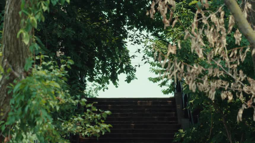 A slow zoom out from a stone staircase framed by lush green trees leading upwards toward a bright sky