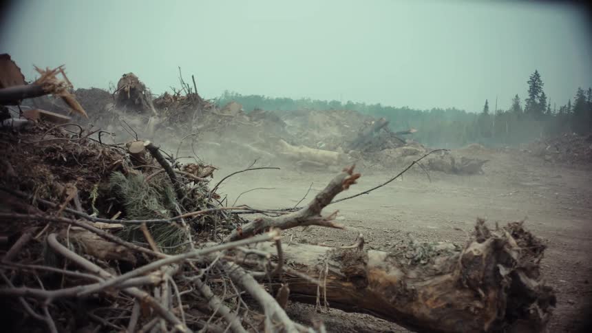 Two custom cars drive down a dirt road through a desolate, deforested landscape, kicking up dust