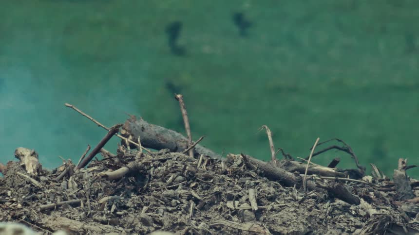 A slow zoom out from a smoldering pile of dead branches and wood reveals the devastating aftermath of deforestation on a hillside