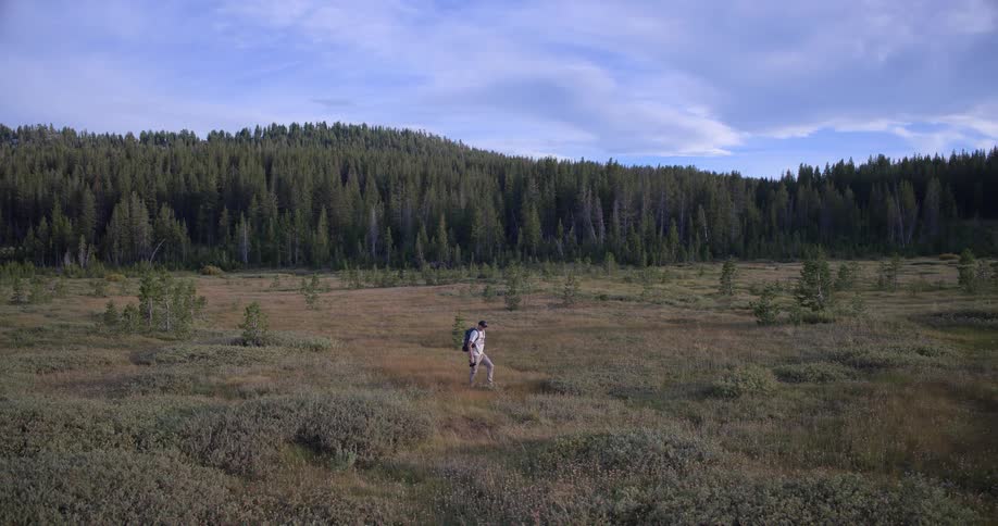 A lone hiker with a backpack walks slowly across a vast, remote meadow at the base of a dense, green forest