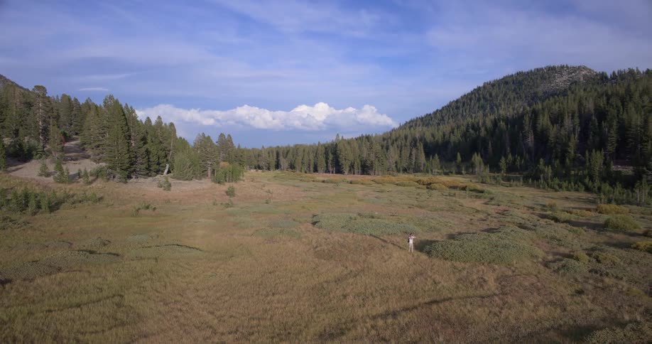 Aerial footage shows a photographer standing alone in a vast, grassy mountain meadow surrounded by a pine forest