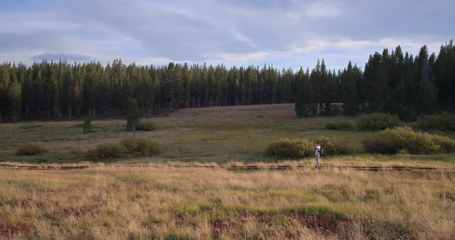A lone hiker with a backpack walks along old rusty train tracks through a beautiful golden meadow in front of a dense pine forest