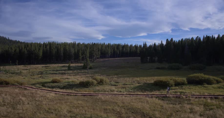 A hiker with a backpack walks along a trail through a beautiful mountain meadow with a dense forest in the background