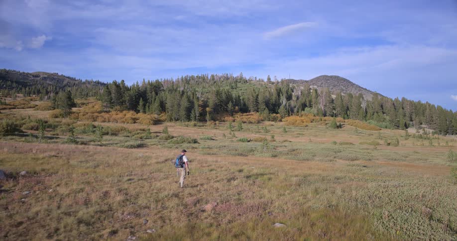 A lone hiker with a backpack walks through a scenic mountain meadow with a backdrop of pine forests and a clear blue sky