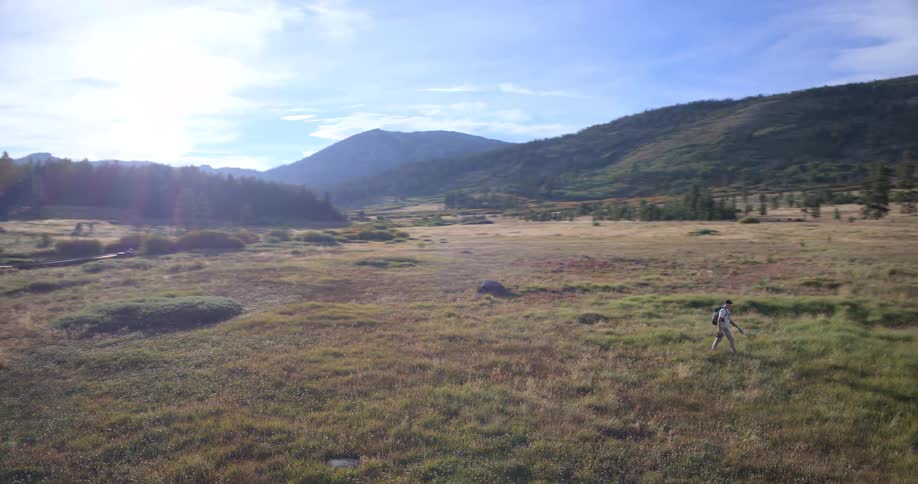 A solo hiker with a backpack walks through a vast, sun-drenched mountain meadow surrounded by a pine forest