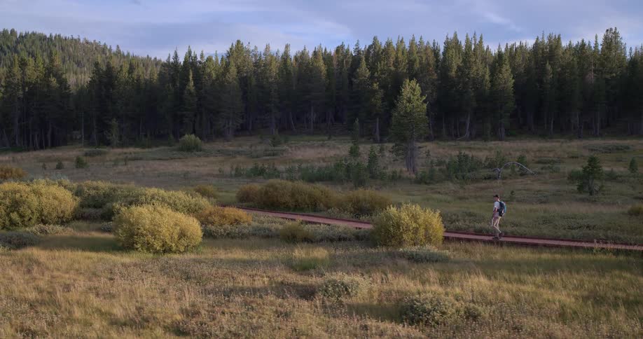 A man with a backpack hikes along a wooden boardwalk trail through a beautiful mountain meadow