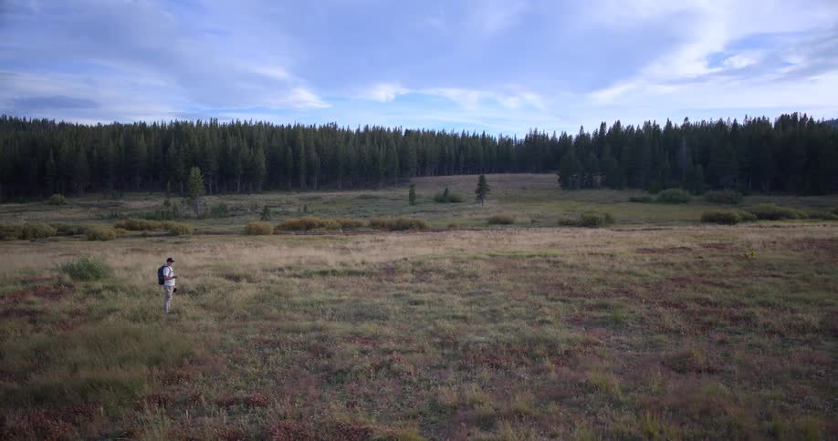 A solitary hiker with a backpack crosses a vast mountain meadow before stopping to take a photo of the forest scenery with his phone