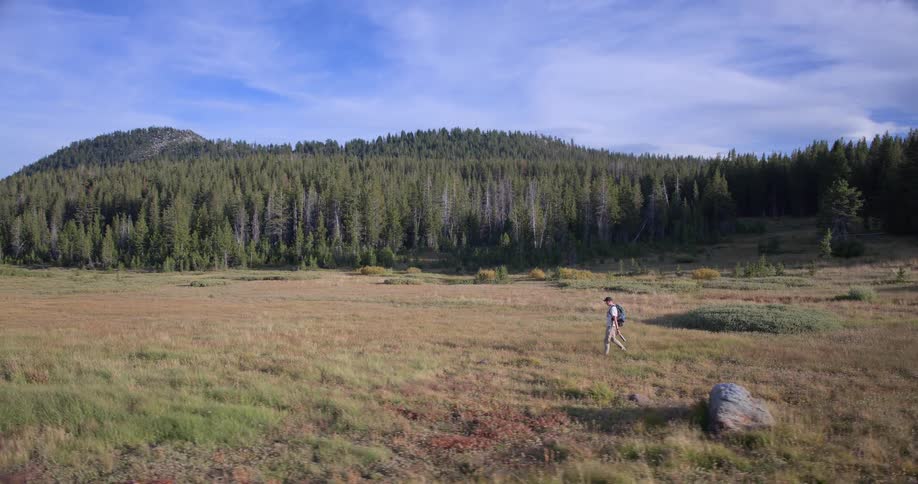A man hikes in slow motion across a vast mountain meadow with a dense pine forest in the background on a sunny day