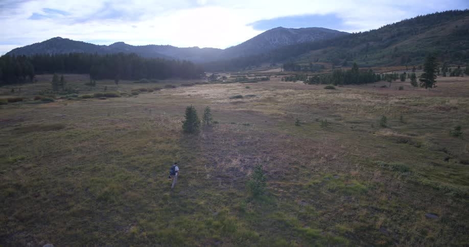 An aerial drone shot follows a lone hiker with a backpack walking through a vast mountain meadow surrounded by a forest