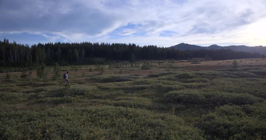 A solo backpacker hikes in slow motion through a vast, scenic mountain meadow with a dense pine forest in the distance