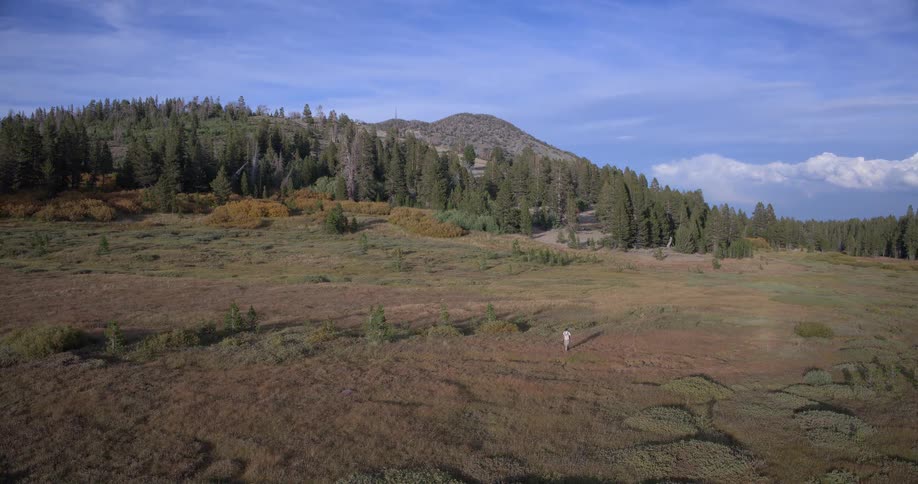 Aerial drone footage follows a lone hiker walking through a vast mountain meadow at the base of a pine forest