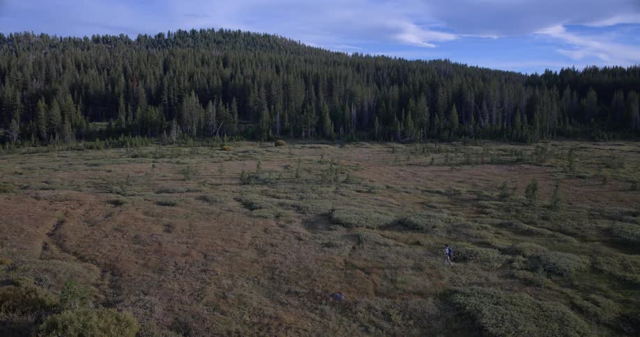Cinematic aerial shot follows a solo backpacker trekking across a sprawling, wild meadow at the base of a forested mountain
