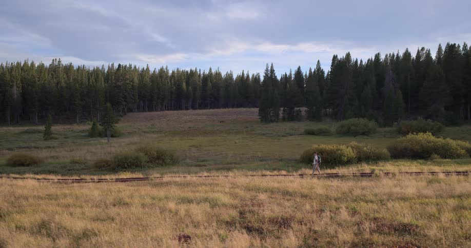A lone hiker with a backpack walks along abandoned railroad tracks through a vast mountain meadow with a dense forest in the background