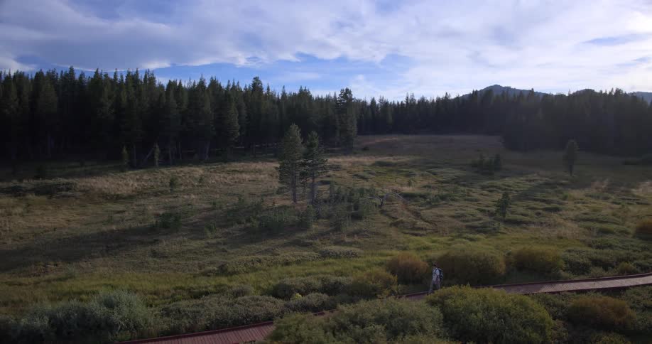 Aerial view follows a lone hiker walking along a winding wooden boardwalk through a lush mountain meadow towards a pine forest