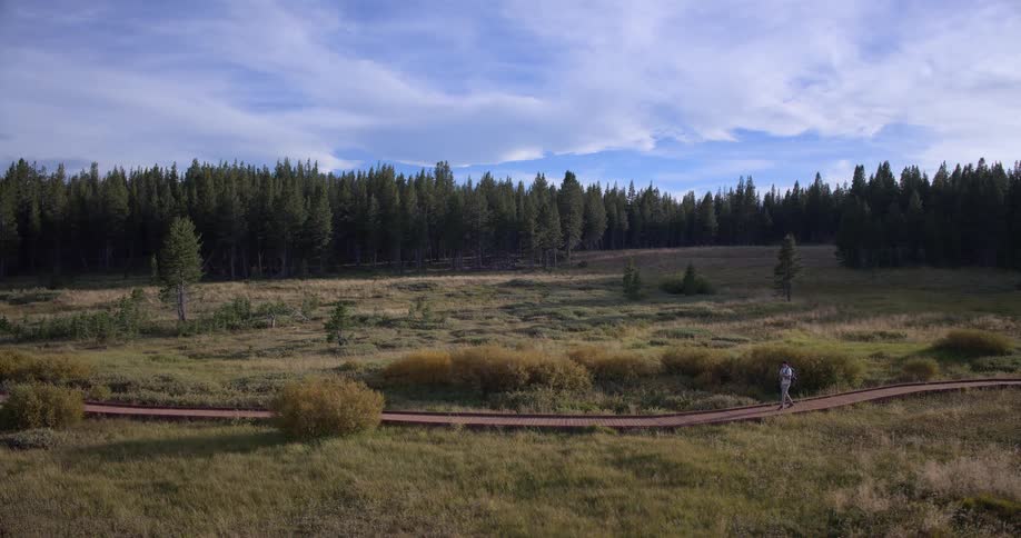 A hiker walks along a wooden boardwalk through a picturesque mountain meadow with a dense pine forest in the distance