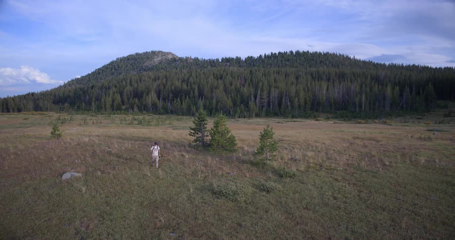 A lone hiker with a backpack explores a vast, serene mountain meadow at the foot of a dense pine forest