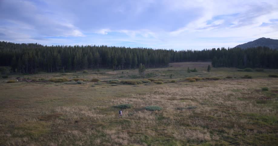 A lone hiker with a backpack traverses a vast, grassy meadow surrounded by a dense pine forest and distant mountains