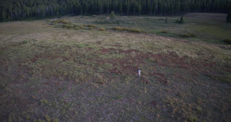 Aerial view of a lone hiker with a backpack walking through a vast mountain meadow as the camera pulls back to reveal the expansive landscape