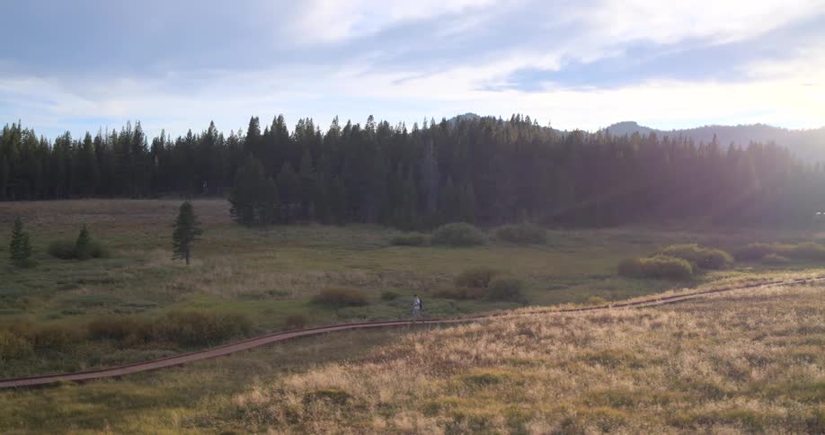 A lone hiker walks along a boardwalk through a vast mountain meadow as the golden sun sets behind a forest of pine trees