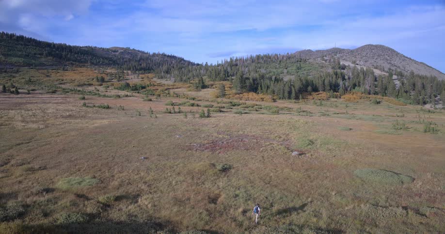 Aerial view captures a lone hiker trekking across a sprawling mountain meadow under a clear blue sky