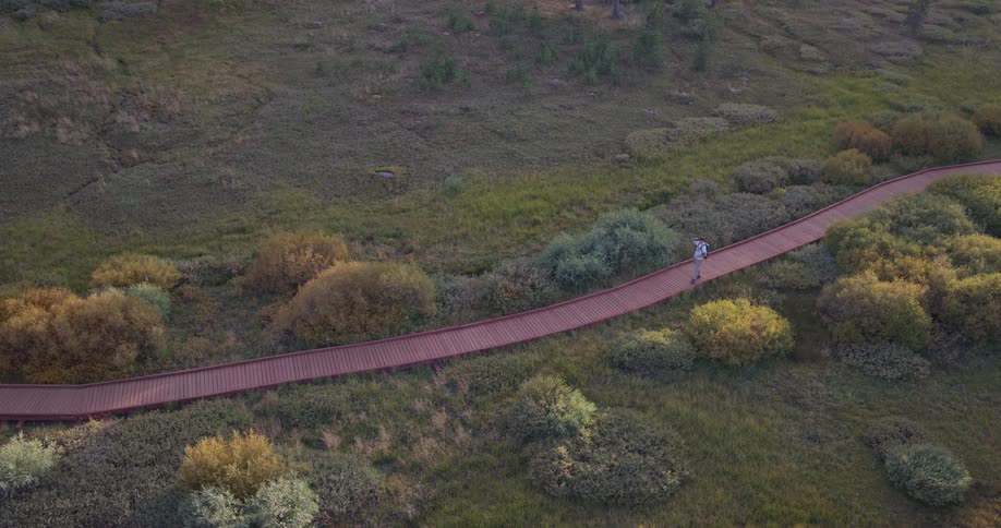 A lone hiker with a backpack walks along a winding wooden boardwalk through a lush meadow, captured from a high aerial view