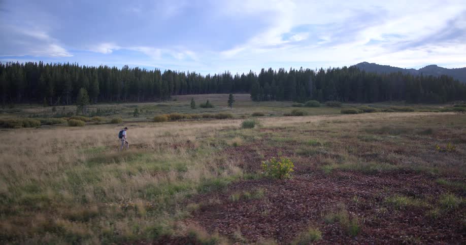 Slow-motion aerial view of a man hiking across a serene, wide-open meadow surrounded by a pine forest and mountains