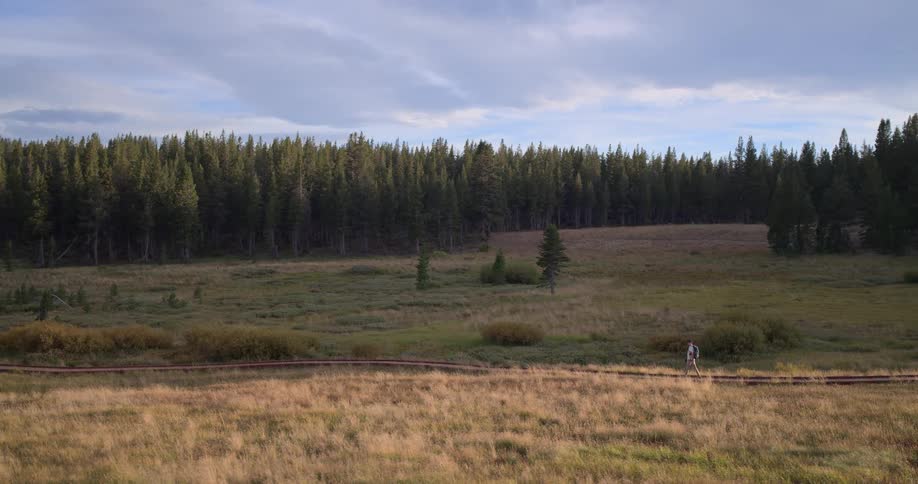 A lone hiker with a backpack walks along a wooden boardwalk through a golden meadow towards a dense forest