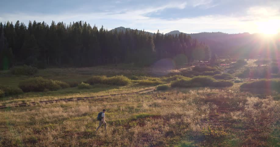 Aerial view of a man hiking with a backpack through a vast golden meadow towards a forest as the sun rises