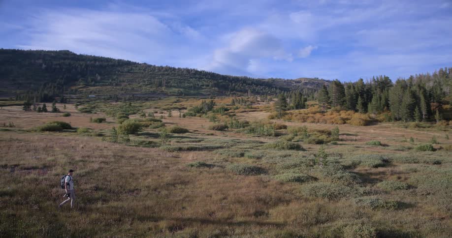 A lone hiker with a backpack traverses a vast mountain meadow with pine-covered hills in the background