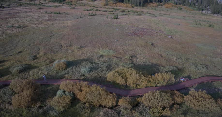 A high aerial view shows a person walking along a winding wooden boardwalk through a vast mountain meadow at sunset