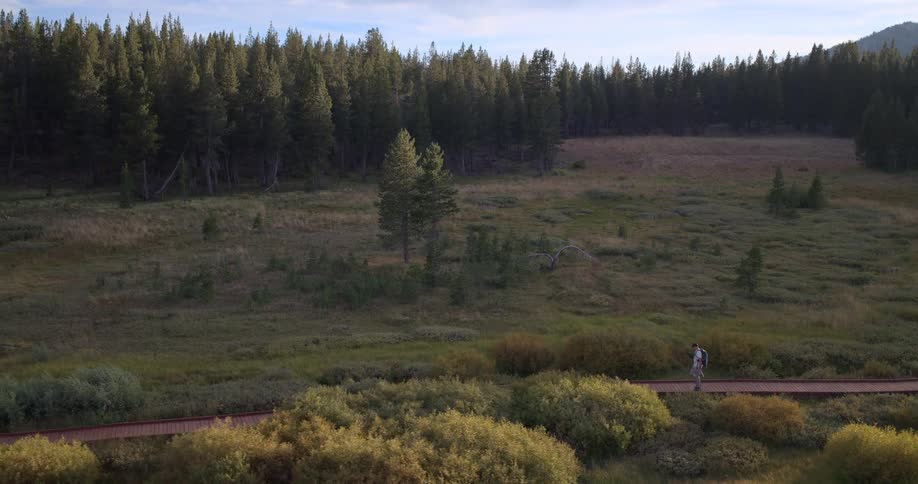 A rising aerial shot follows a lone hiker with a backpack walking along a wooden boardwalk through a serene mountain meadow at sunset