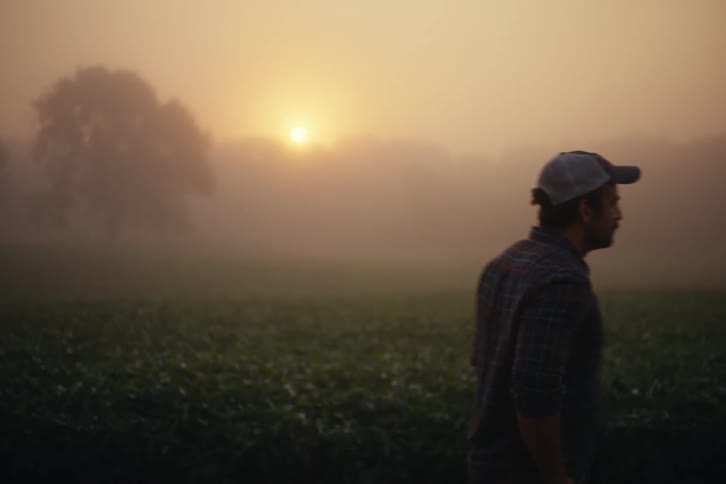 A farmer in a plaid shirt stands in a foggy crop field at sunrise and then walks out of frame