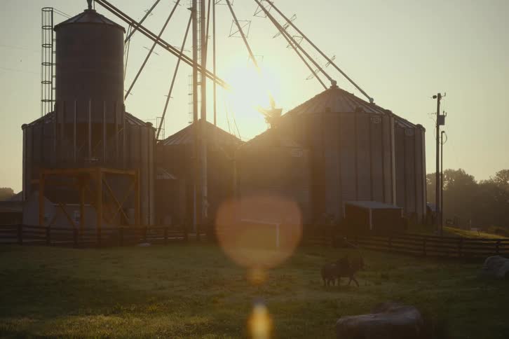 Donkeys stand in a misty pasture in front of towering farm silos as the sun rises, casting a warm lens flare