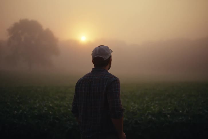 A lone man stands in a green field, watching the sun rise through the thick morning fog