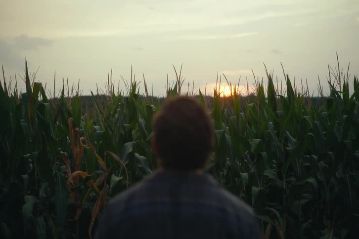 Over-the-shoulder shot of a man looking out at a lush cornfield during a beautiful sunset
