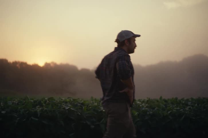 A farmer in a plaid shirt and cap walks slowly through his misty crop field at sunset