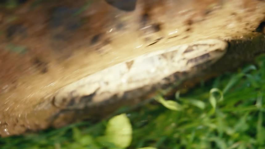 A muddy off-road vehicle tire spins through a wet, grassy trail, splashing water and mud in slow motion