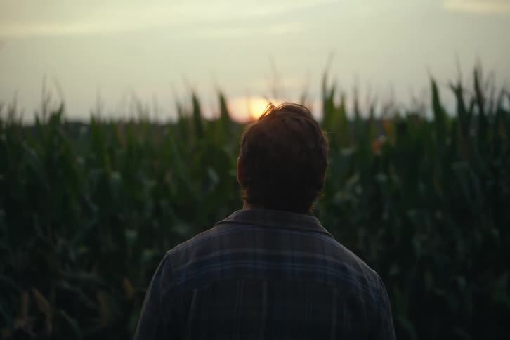 A farmer stands at the edge of a cornfield, looking out at the sunset
