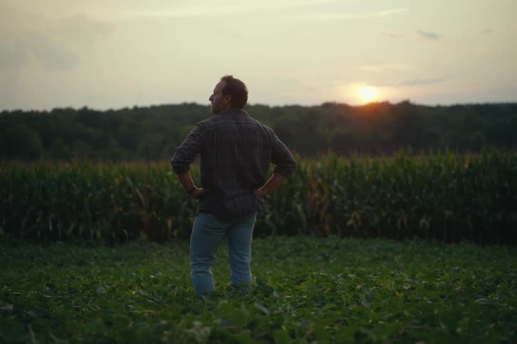 A contemplative farmer stands in a lush green field, admiring his harvest at dusk with a look of satisfaction