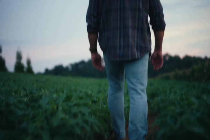 A farmer wearing a plaid shirt and work boots walks through the rows of his crop field at dusk in slow motion