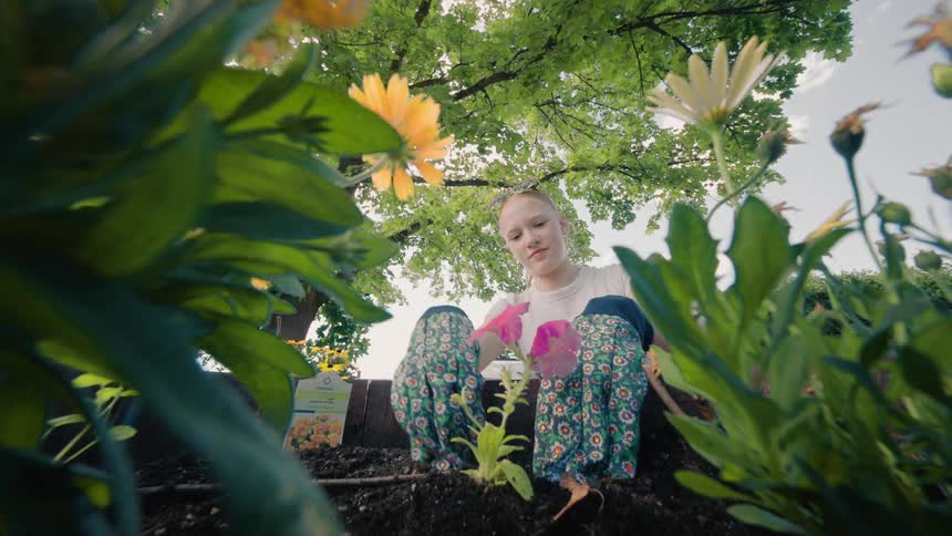 A low-angle view shows a young gardener with floral gloves planting a new flower in a sunny garden bed