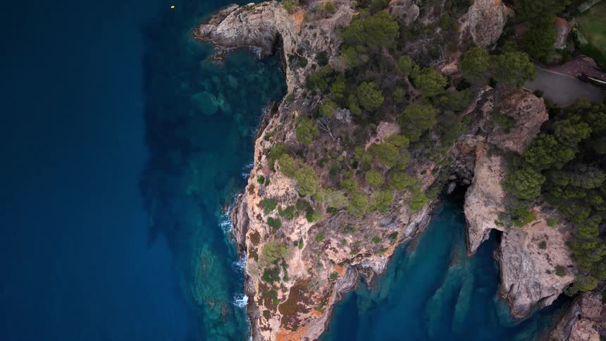 An incredible top-down aerial view slowly ascends over a rugged, tree-covered coastline and the crystal-clear blue sea
