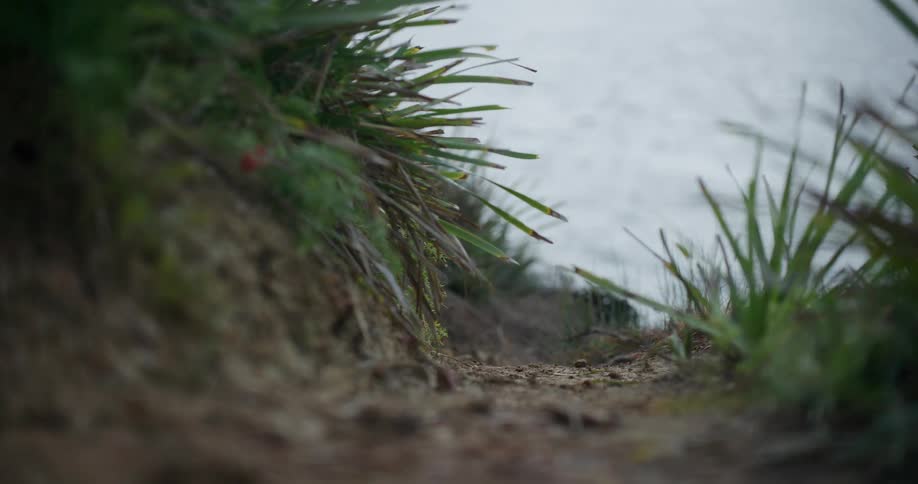 A close-up slow-motion tracking shot follows a narrow dirt path along a grassy cliffside overlooking the ocean