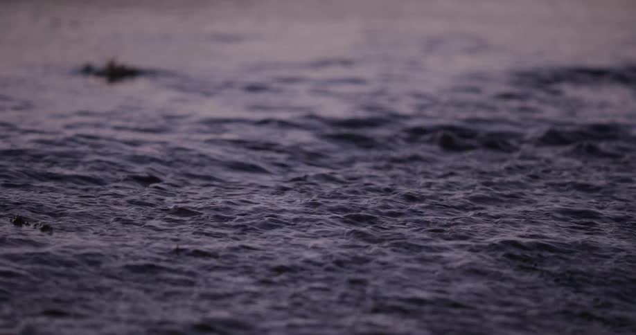 A close-up of gentle rain falling on the surface of dark, calm water at twilight