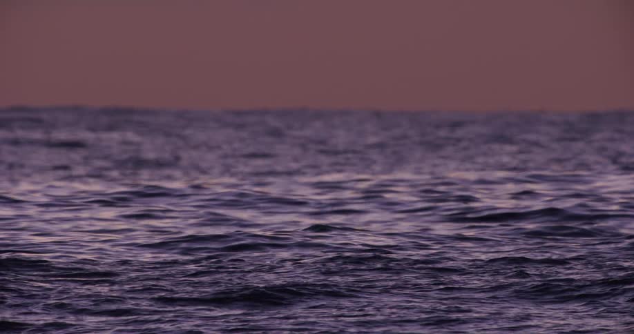 The deep purple ocean surface gently undulates beneath a soft twilight sky