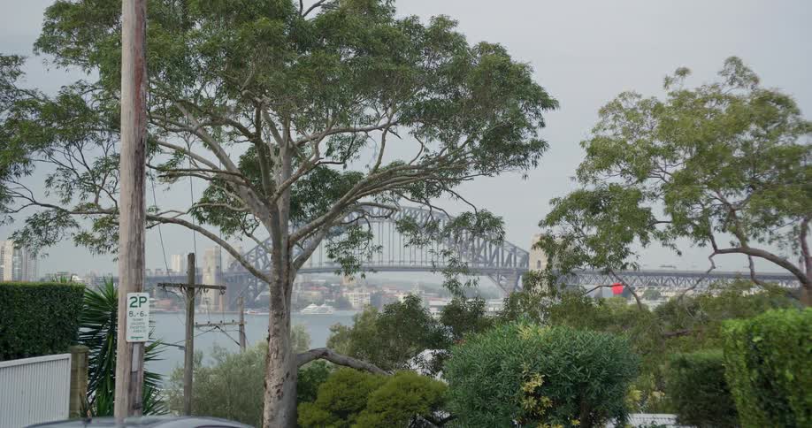 A static view of the iconic Sydney Harbour Bridge from a suburban street on an overcast day