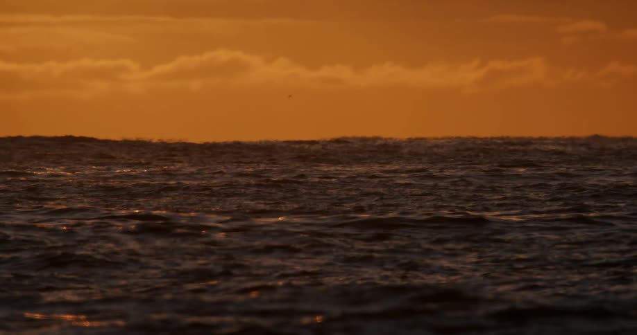 Slow-motion view of a dark, rolling ocean under a vibrant orange sunset sky