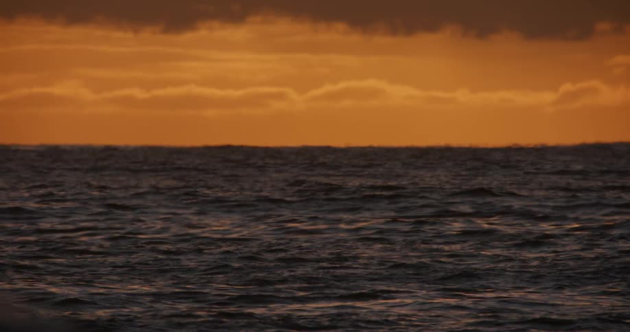 Dark ocean waves roll under a vibrant orange sky at sunset