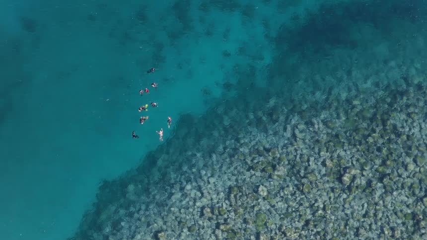 An aerial top-down view shows a group of people snorkeling in the clear turquoise ocean next to a rocky reef
